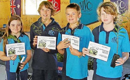 Students from Mary Valley State College receive a free tree and a certificate for their efforts in reducing their carbon footprint. Pictured from left are Laura Sharman, Year 6, Dominic Kurtz, Yr 6 and the school’s “green champion”, Tremayne McCarthy, Yr 6 and Kaitlin Knox, Yr 7. Students from Mary Valley State College receive a free tree and a certificate for their efforts in reducing their carbon footprint. Pictured from left are Laura Sharman, Year 6, Dominic Kurtz, Yr 6 and the school’s “green champion”, Tremayne McCarthy, Yr 6 and Kaitlin Knox, Yr 7.